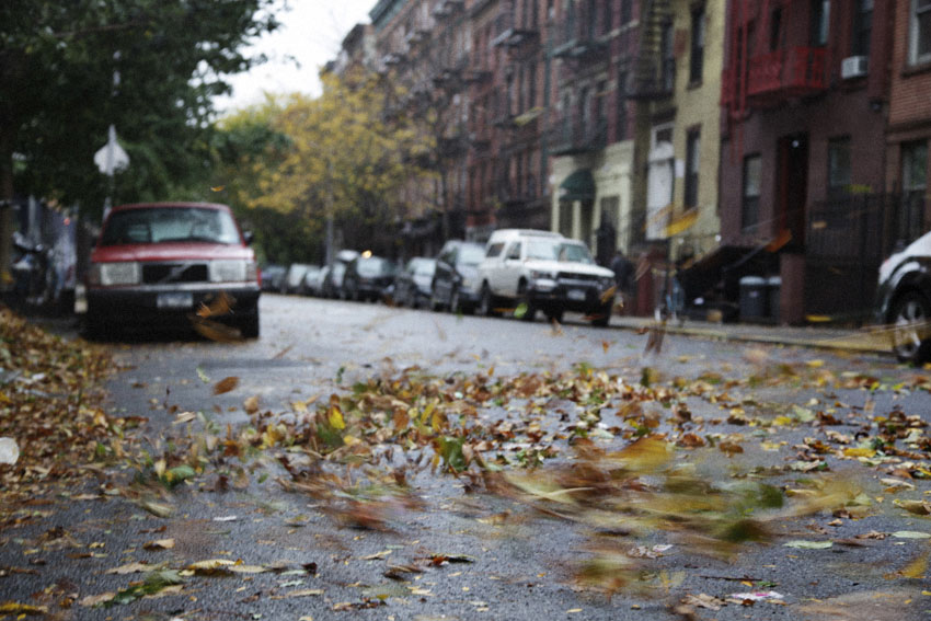 H Sandy 7