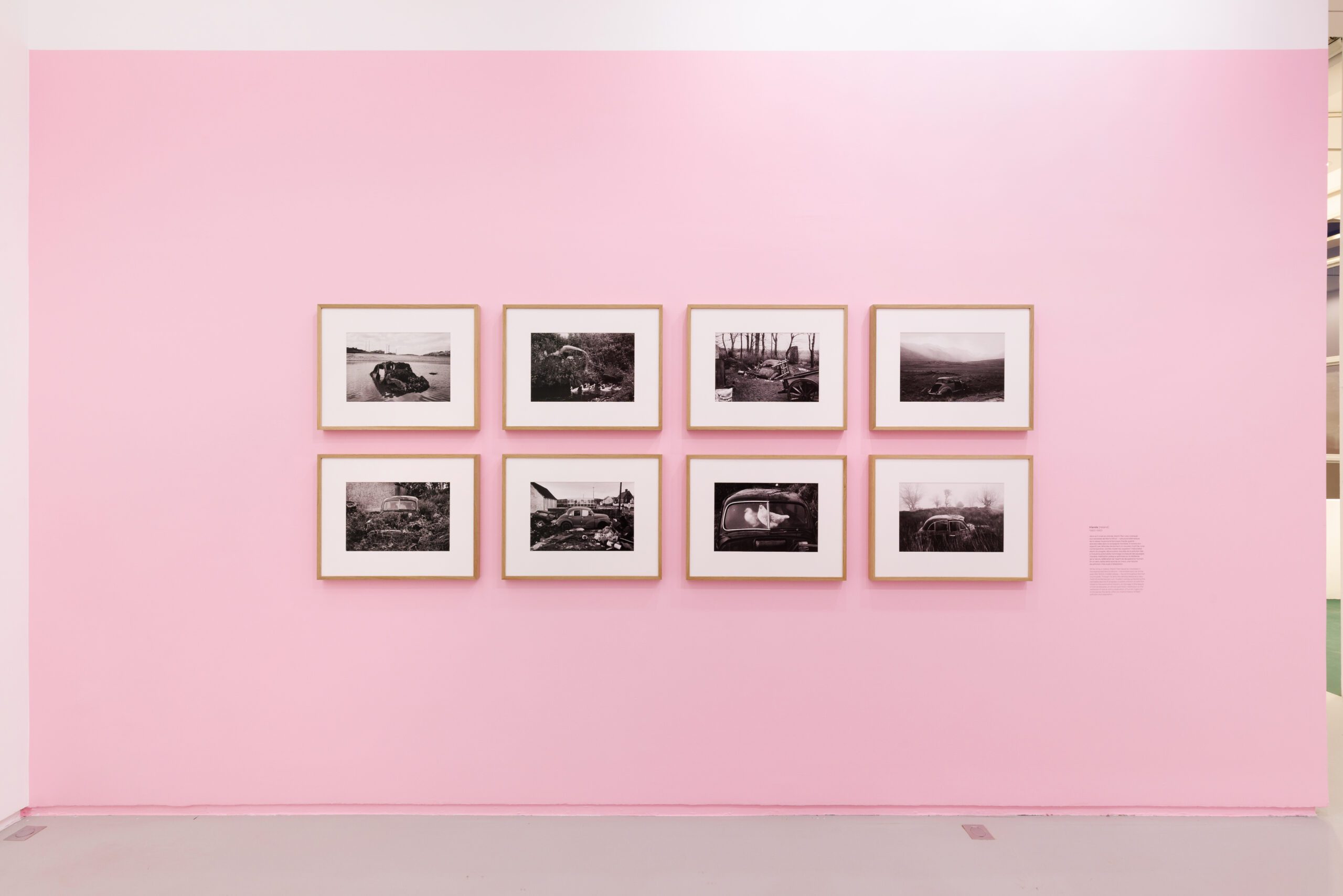 MARTIN PARR GLOBAL WARMING – Grey Magazine